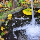 Herbstbrunnen