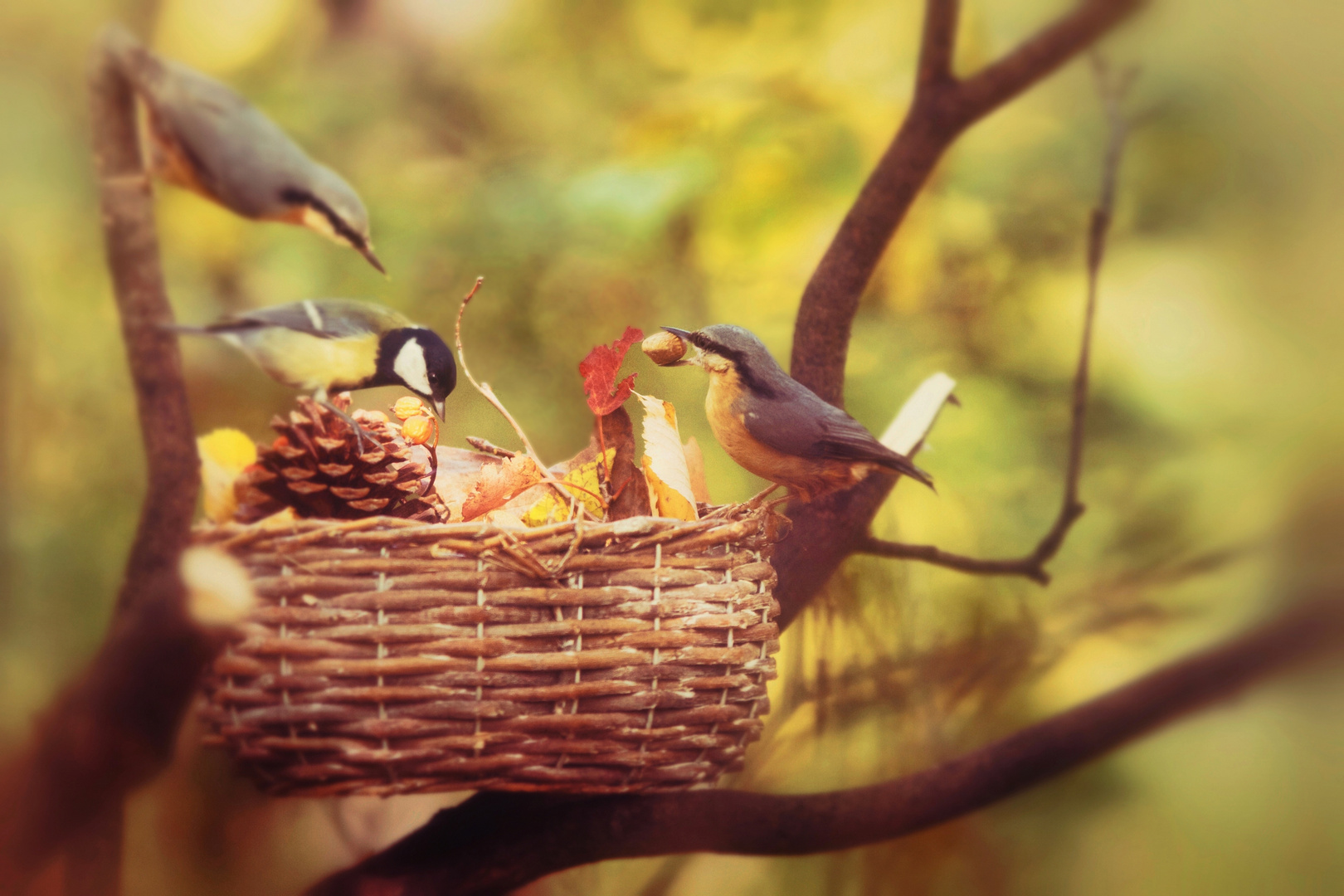 Herbstbuffet