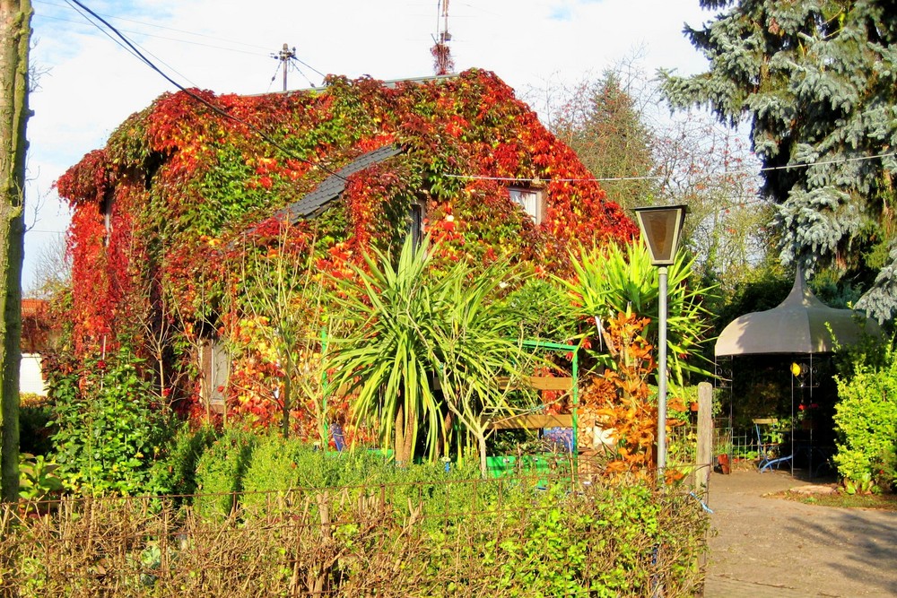 Herbstbunt