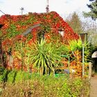 Herbstbunt