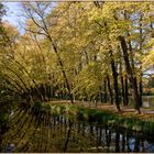 Herbstbunt...