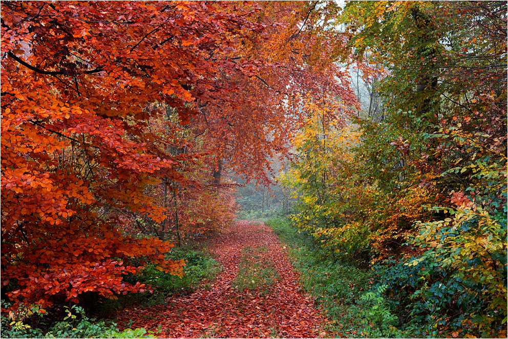 ..herbstbunt..