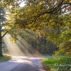 Herbstbunt 2