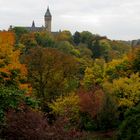 herbstbunt