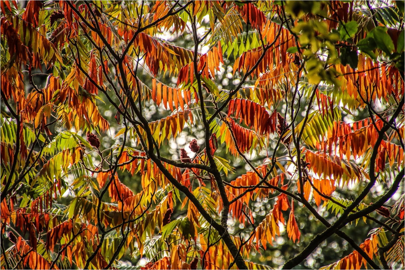 Herbstbunt