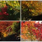 Herbstbunt