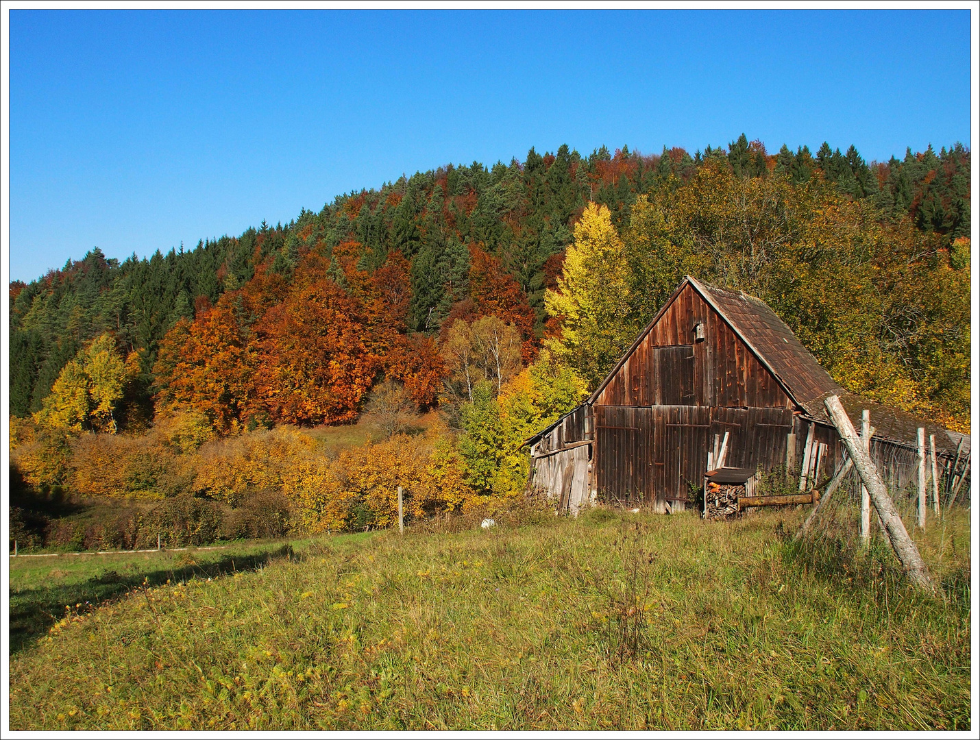 Herbstbunt