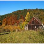 Herbstbunt