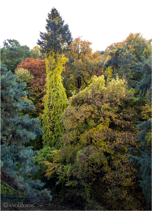 Herbstbunt