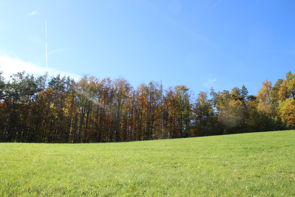  Herbstbunt 