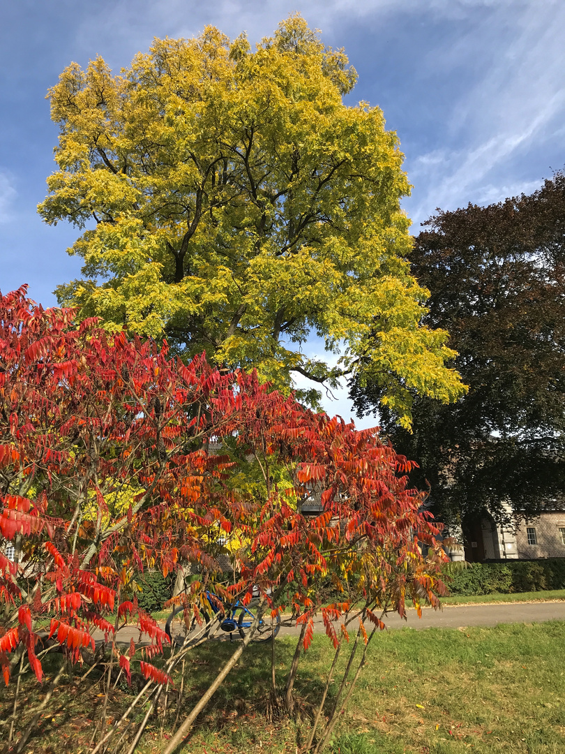 Herbstbunt.