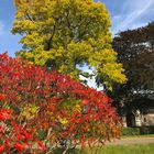 Herbstbunt.