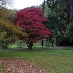 herbstbunt