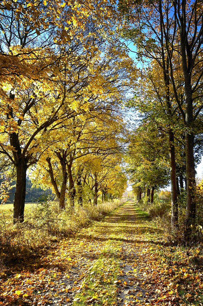 Herbstbunt