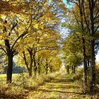 Herbstbunt