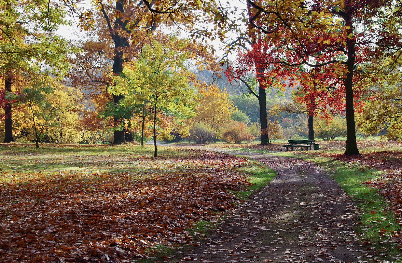 Herbstbunt