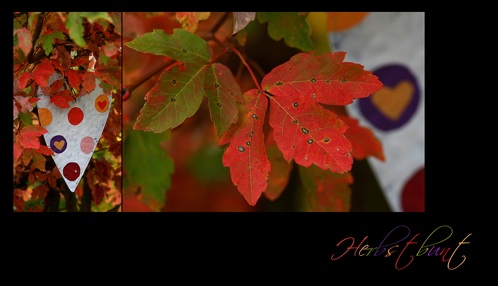 Herbstbunt