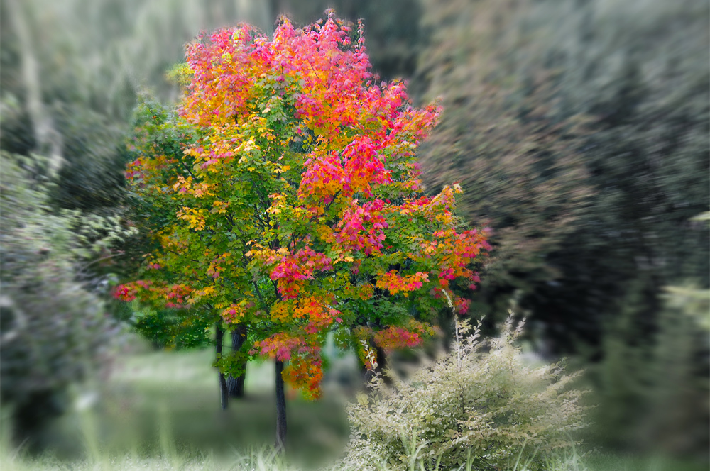 herbstbunt