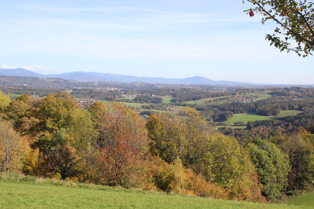 Herbstbunt 