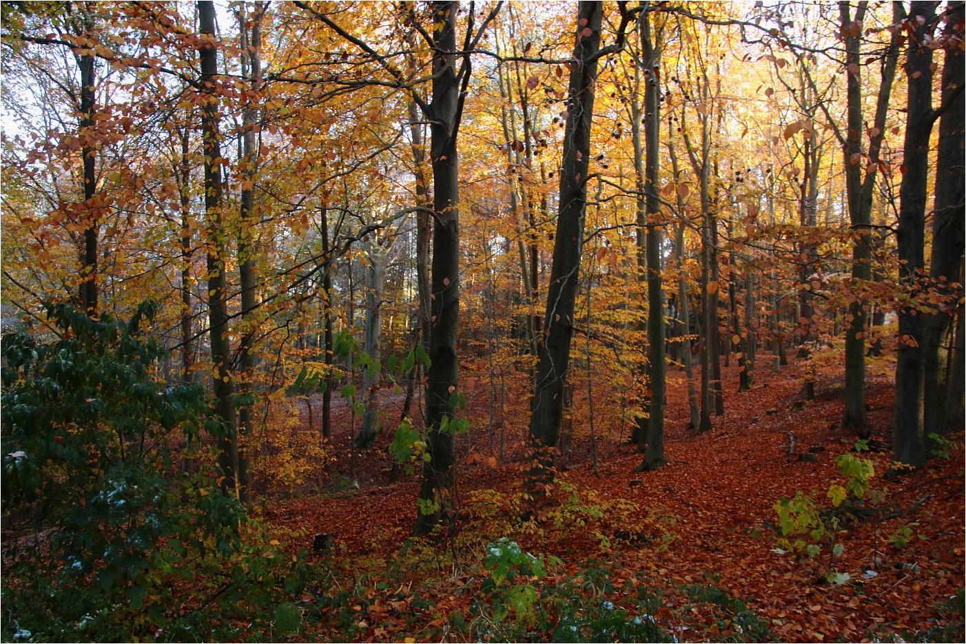 Herbstbunt