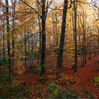 Herbstbunt