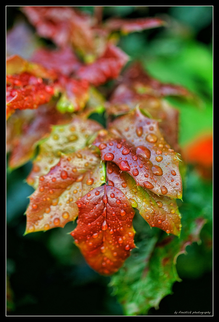 Herbstbunt