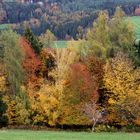 Herbstbunt am  Lieneck 