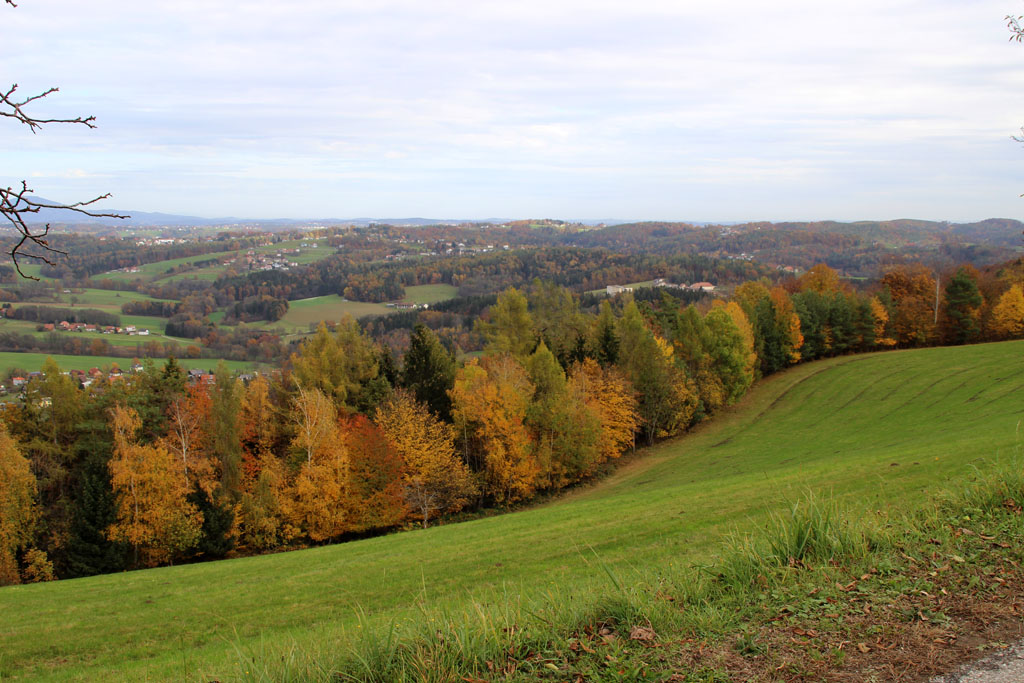 Herbstbunt am  Lieneck