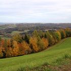 Herbstbunt am  Lieneck