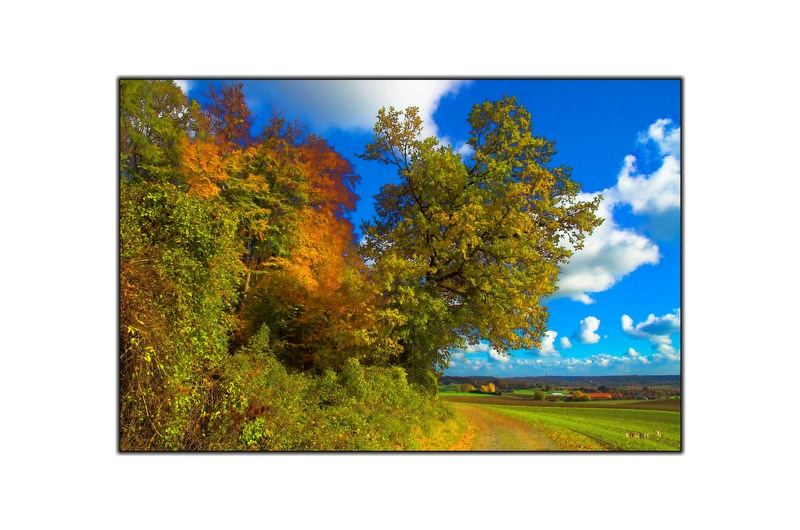 Herbstbunt