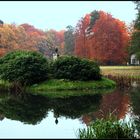 herbstbunt