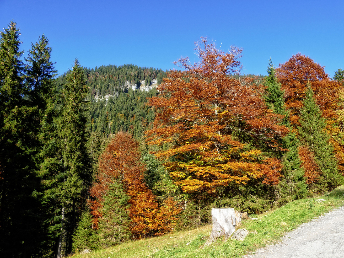 Herbstbunt