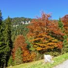 Herbstbunt