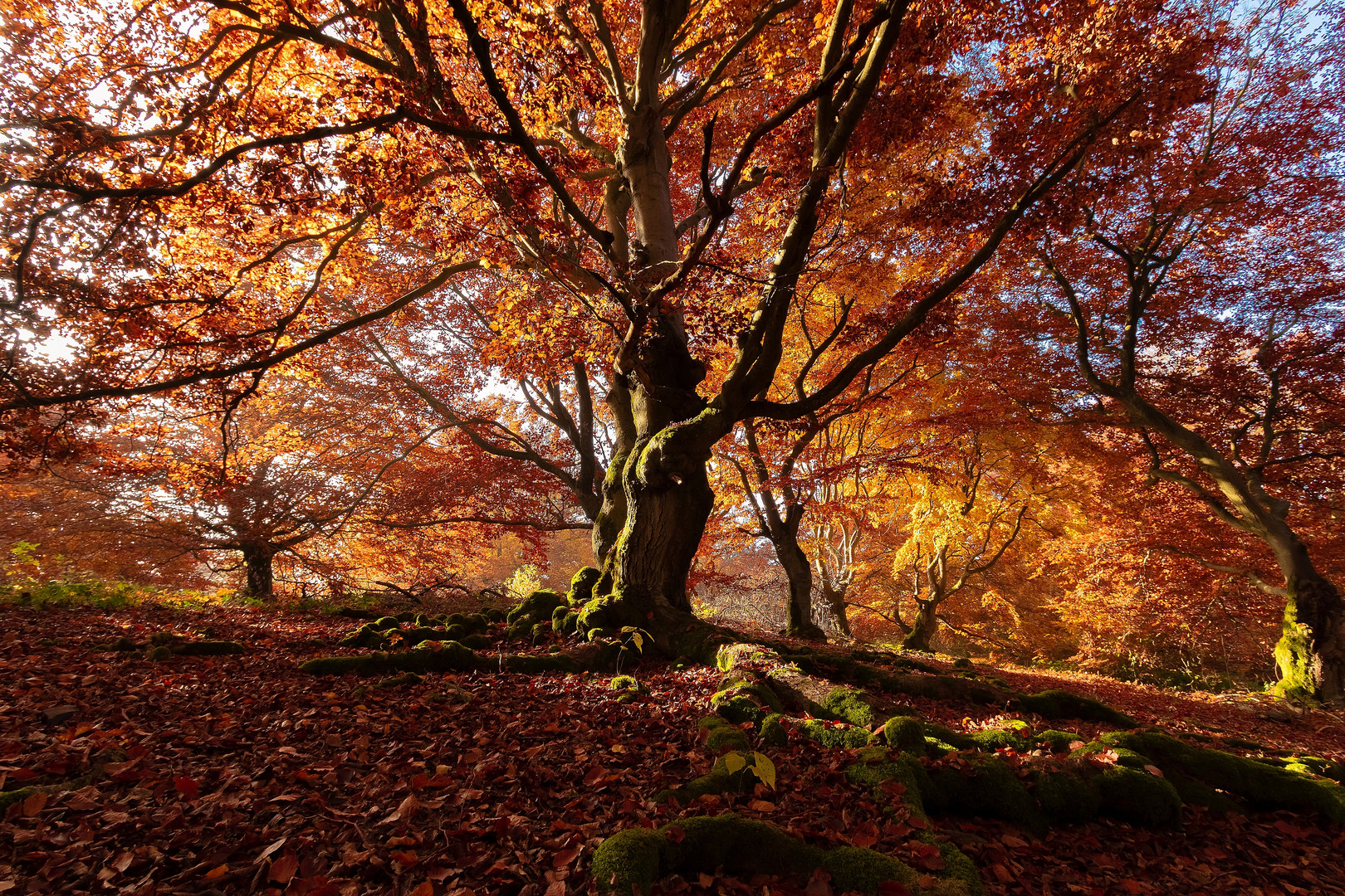 Herbstbunt