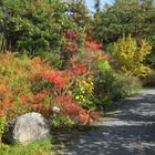 Herbstbunt