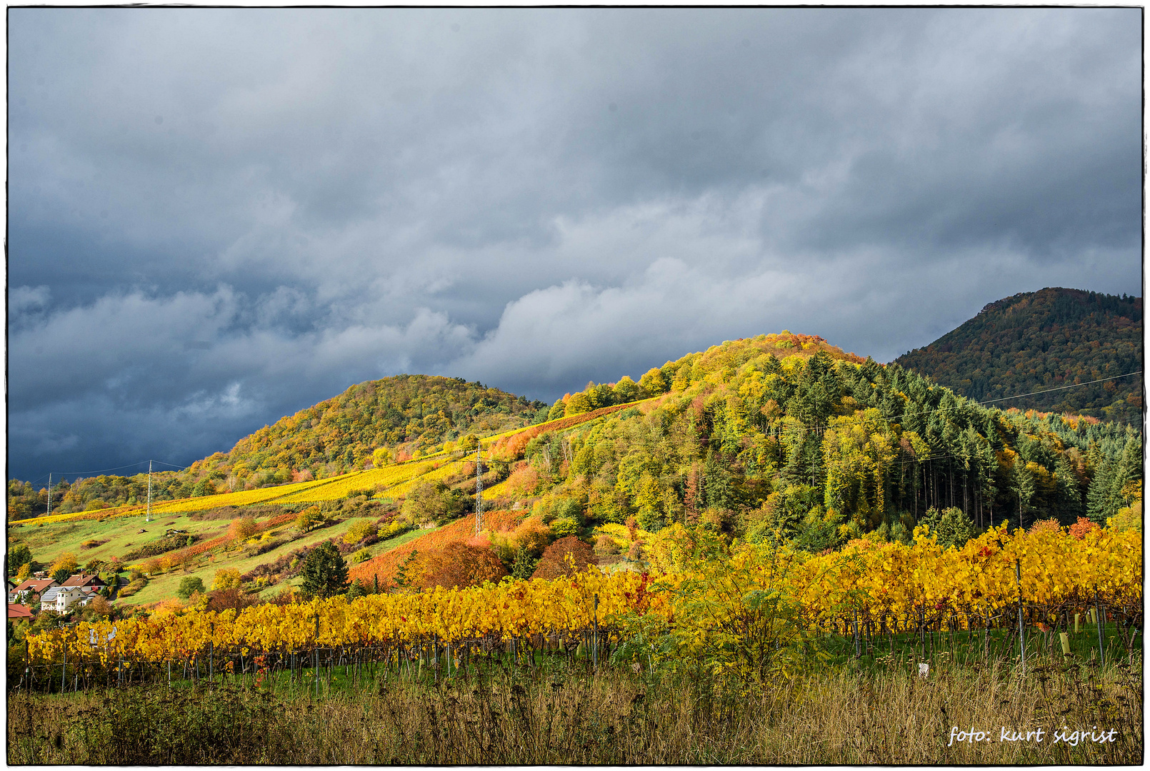 Herbstbunt in den Weinbergen