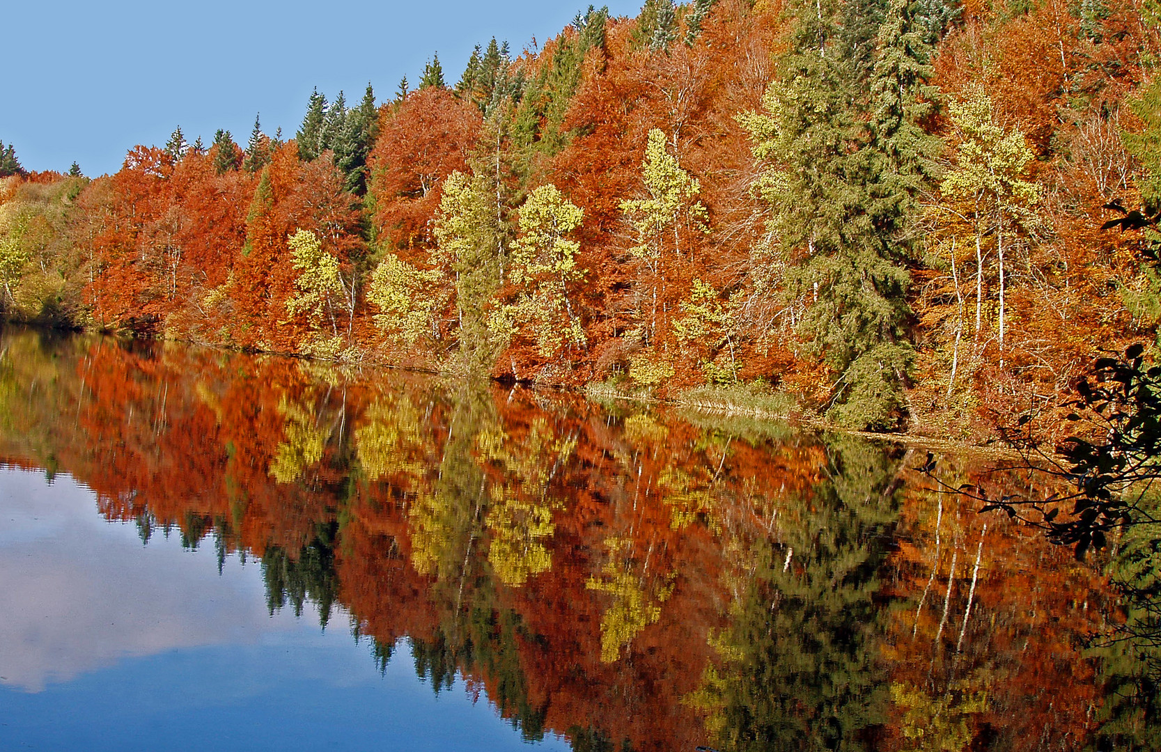 Herbstbunt über und unter Wasser