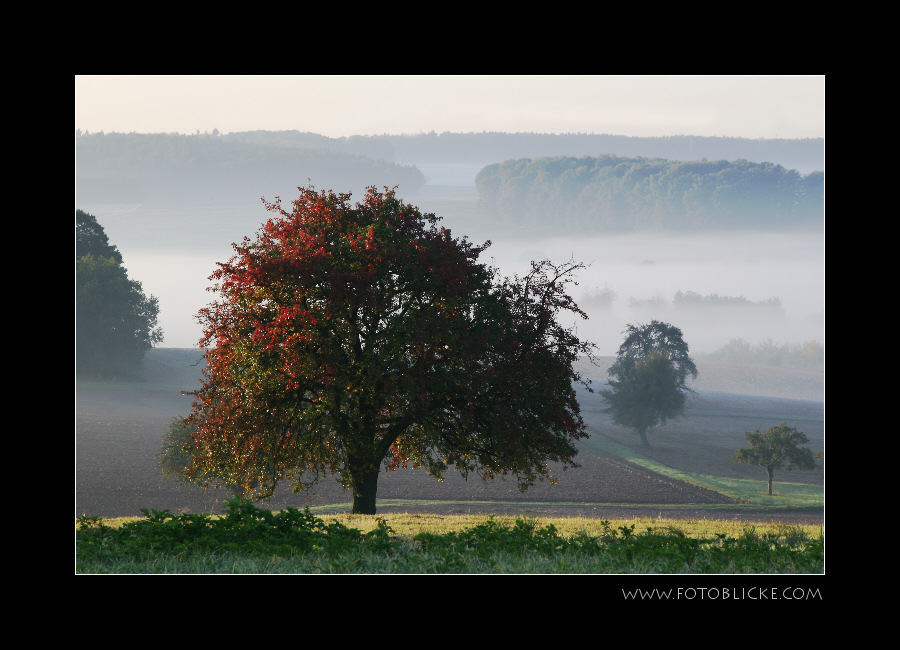 Herbstbunter