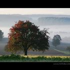 Herbstbunter