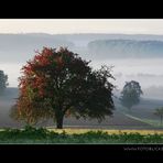 Herbstbunter