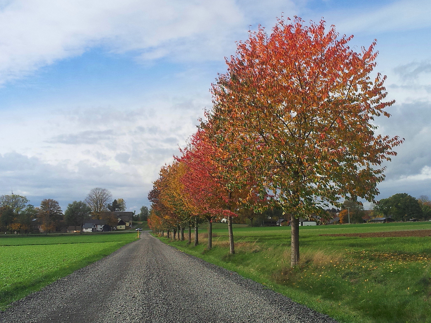 Herbstbunter Flurweg