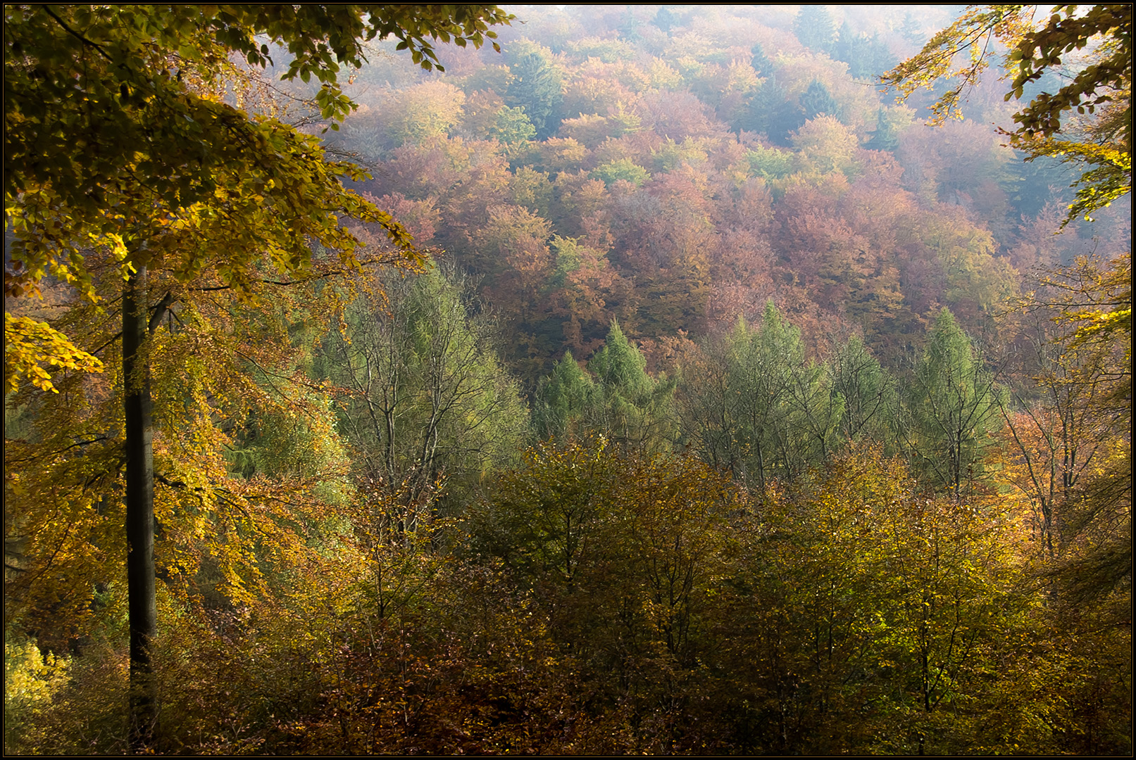 Herbstbunter Solling... (Variante 2) 