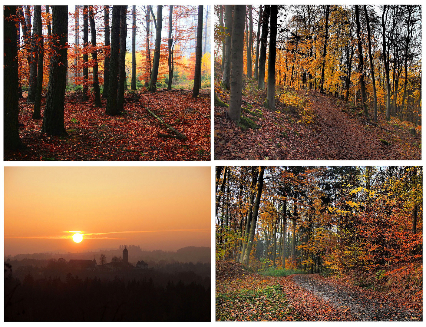 Herbstbuntes Höllental im Frankenwald