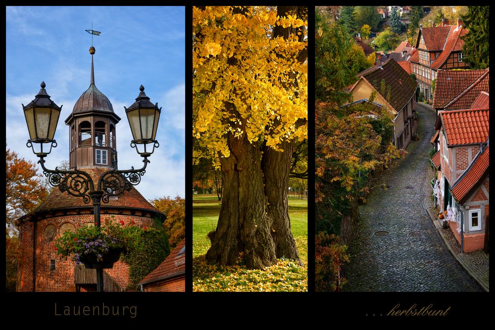 Herbstbuntes Lauenburg