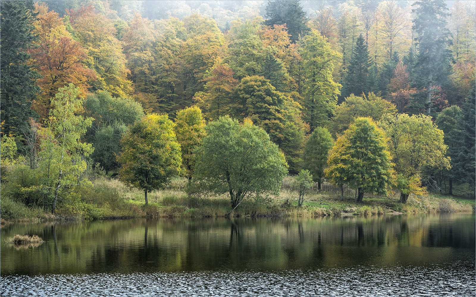 herbstbuntes ufer