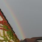 Herbstbuntes Weinlaub und Regenbogen