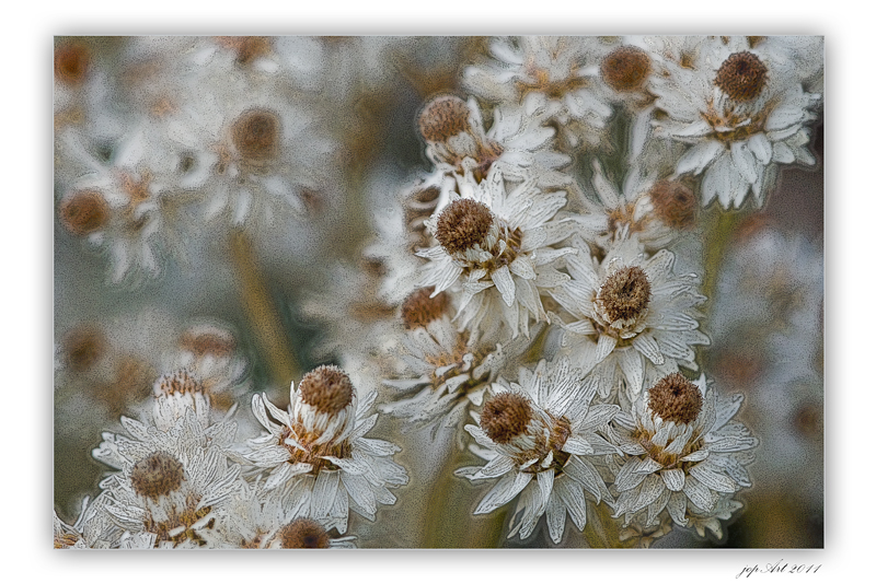 ~~~HerbstChoreografie~~~