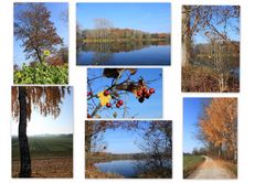 Herbstcollage