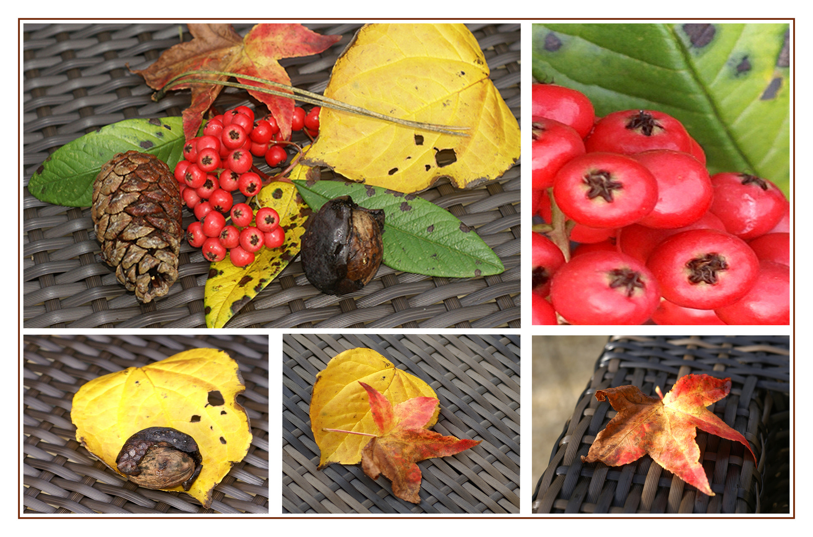 Herbstcollage