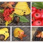 Herbstcollage